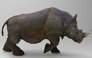 3D model Rhino 10 Animations