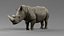 3D model Rhino Rigged