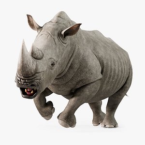 3D model Rhino Rigged