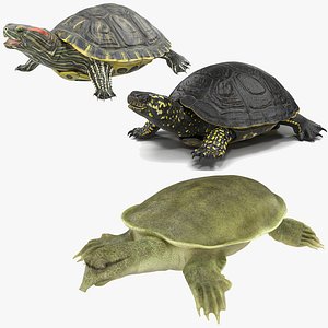 turtles rigged 2 3D model