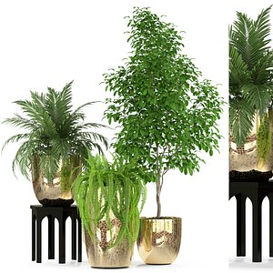 3D plants 235 model
