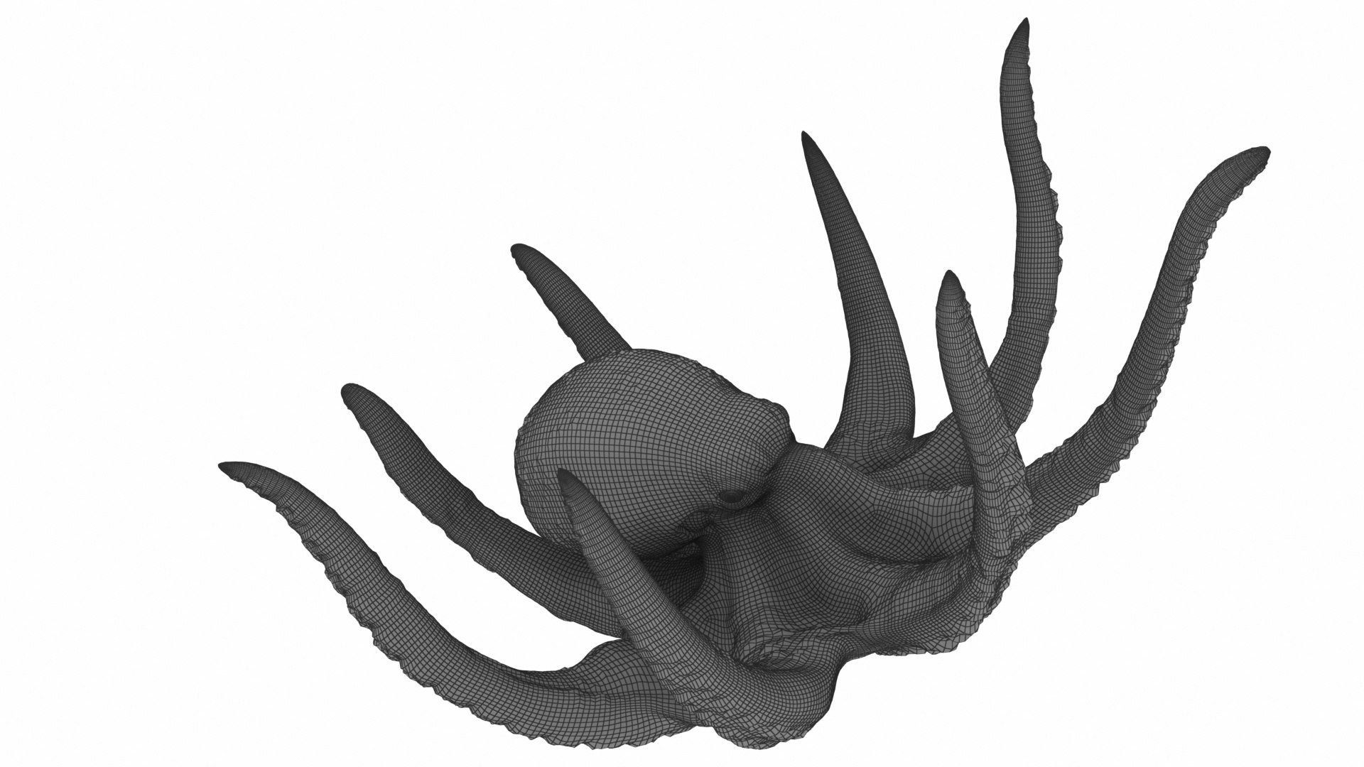 realistic octopus model https://p.turbosquid.com/ts-thumb/W3/ZJnoUz/3I107Dbd/10/jpg/1576531063/1920x1080/fit_q87/23672163140183d8140b1351d477c525a56144eb/10.jpg