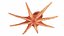 Realistic Octopus Rigged Animated
