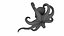 Realistic Octopus Rigged Animated