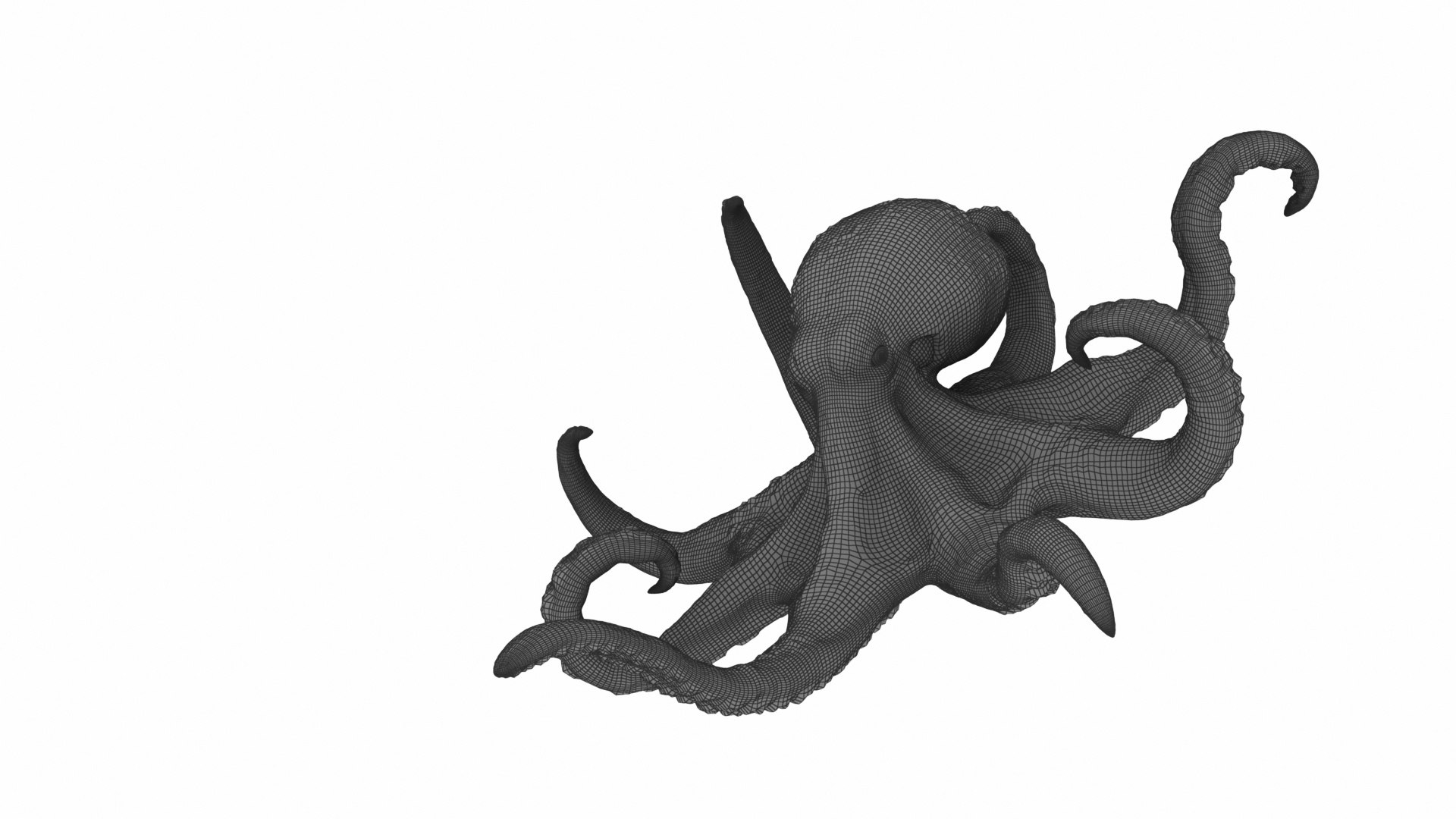 realistic octopus model https://p.turbosquid.com/ts-thumb/W3/ZJnoUz/wKepXEvC/05/jpg/1576530670/1920x1080/fit_q87/9ea12c33a97cb6f827b39a5cfcbc7e70a64925f4/05.jpg