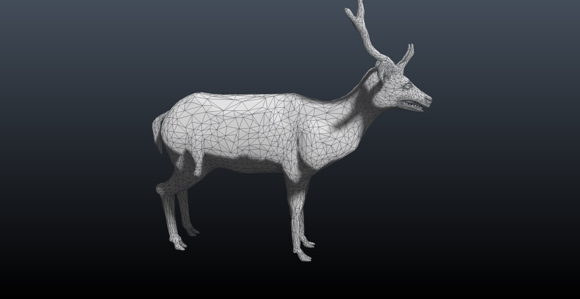 3D Deers Model - TurboSquid 1310090
