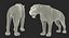Saber Tooth Tiger Rigged with Fur 3D Model