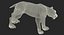 Saber Tooth Tiger Rigged with Fur 3D Model