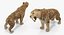 Saber Tooth Tiger Rigged with Fur 3D Model