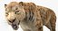 Saber Tooth Tiger Rigged with Fur 3D Model