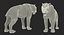 Saber Tooth Tiger Rigged with Fur 3D Model