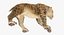 Saber Tooth Tiger Rigged with Fur 3D Model