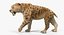 Saber Tooth Tiger Rigged with Fur 3D Model