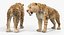 Saber Tooth Tiger Rigged with Fur 3D Model