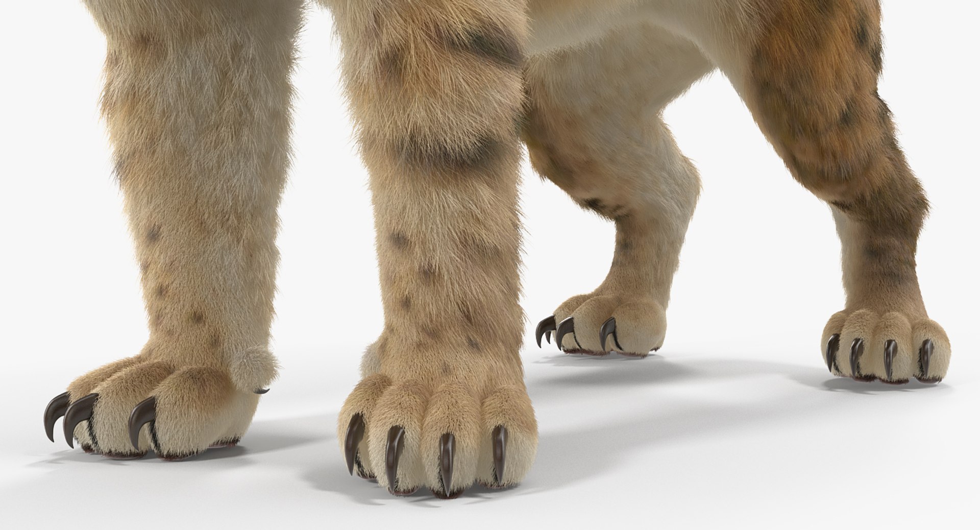 saber tooth tiger rigged 3D model https://p.turbosquid.com/ts-thumb/W4/B97Z4l/XxqRfTud/sabertoothtigerriggedwithfurmb3dmodel013/jpg/1537465138/1920x1080/fit_q87/f95ac258d3479f87590985592d96ad1307e1eab5/sabertoothtigerriggedwithfurmb3dmodel013.jpg