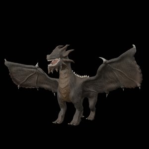 Dragon 3D Models for Download | TurboSquid