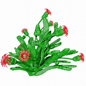 Flower Green Coral Reef with Red Flowers 3D model