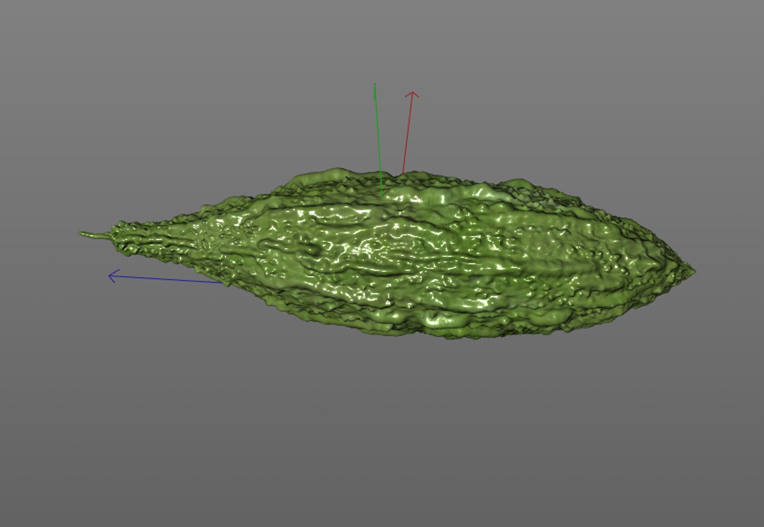 3D bitter gourd model https://p.turbosquid.com/ts-thumb/W4/akZ4Dt/EjWYnbce/9/jpg/1587223188/1920x1080/fit_q87/bc7a62864f5af3ddde2180fc90ffe546ffe30496/9.jpg