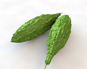 Bitter Gourd