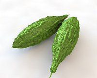 Bitter Gourd