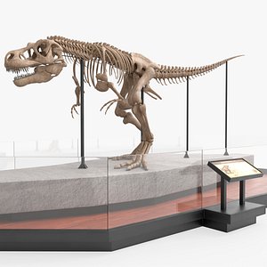 Museum Tyrannosaurus Rex Skeleton For Blender model