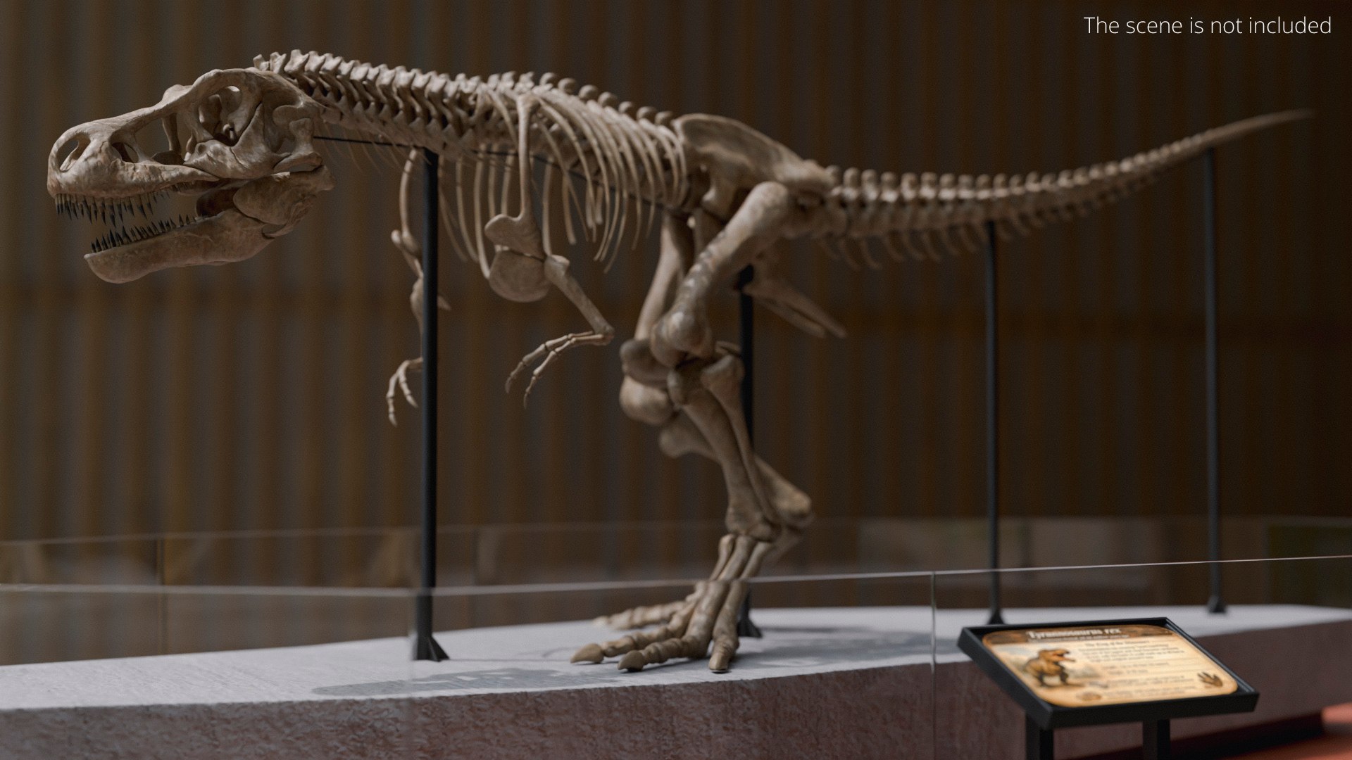 Museum Tyrannosaurus Rex Skeleton For Blender model https://p.turbosquid.com/ts-thumb/W4/bjnXBO/DV/museum_tyrannosaurus_rex_skeleton_for_blender_003/jpg/1773703048/1920x1080/fit_q87/b3569fb4a8cd379a7f739e37e92db9240dc466d7/museum_tyrannosaurus_rex_skeleton_for_blender_003.jpg