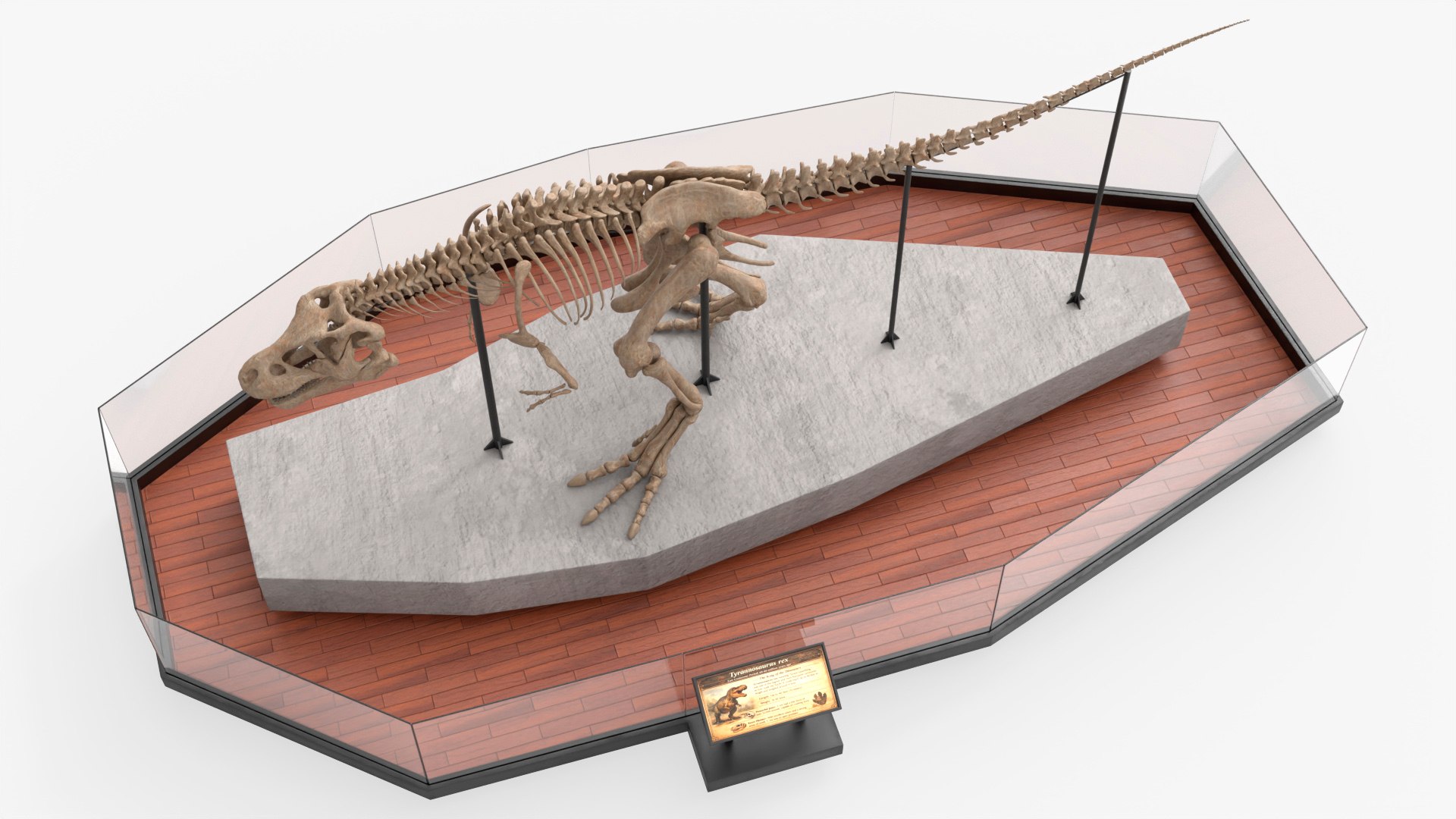 Museum Tyrannosaurus Rex Skeleton For Blender model https://p.turbosquid.com/ts-thumb/W4/bjnXBO/rj/museum_tyrannosaurus_rex_skeleton_for_blender_006/jpg/1773703057/1920x1080/fit_q87/a27a08f8d8dfee9f2d43fe72a04fff4e68476c20/museum_tyrannosaurus_rex_skeleton_for_blender_006.jpg