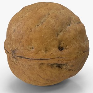 Walnut 3D model