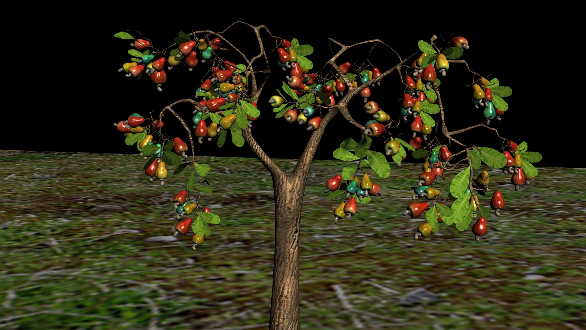 3D Cashewnut tree https://p.turbosquid.com/ts-thumb/W4/mCRQ95/YJ/dark/jpg/1782568512/1920x1080/fit_q87/d04a98174ece66e1589000067585515b4144e529/dark.jpg