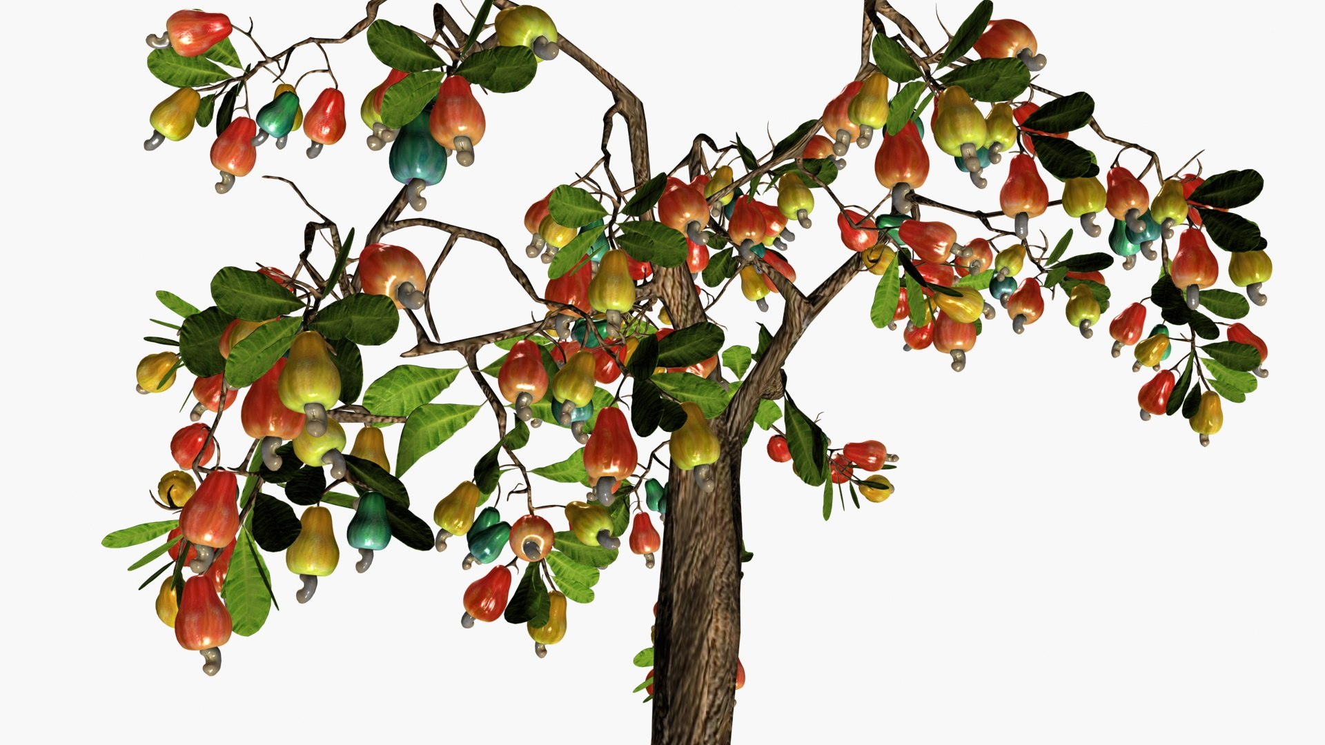 3D Cashewnut tree https://p.turbosquid.com/ts-thumb/W4/mCRQ95/k0/ps4/jpg/1782568480/1920x1080/fit_q87/161f135896b3743a9f08d1a0d65e60d94c60f1b9/ps4.jpg