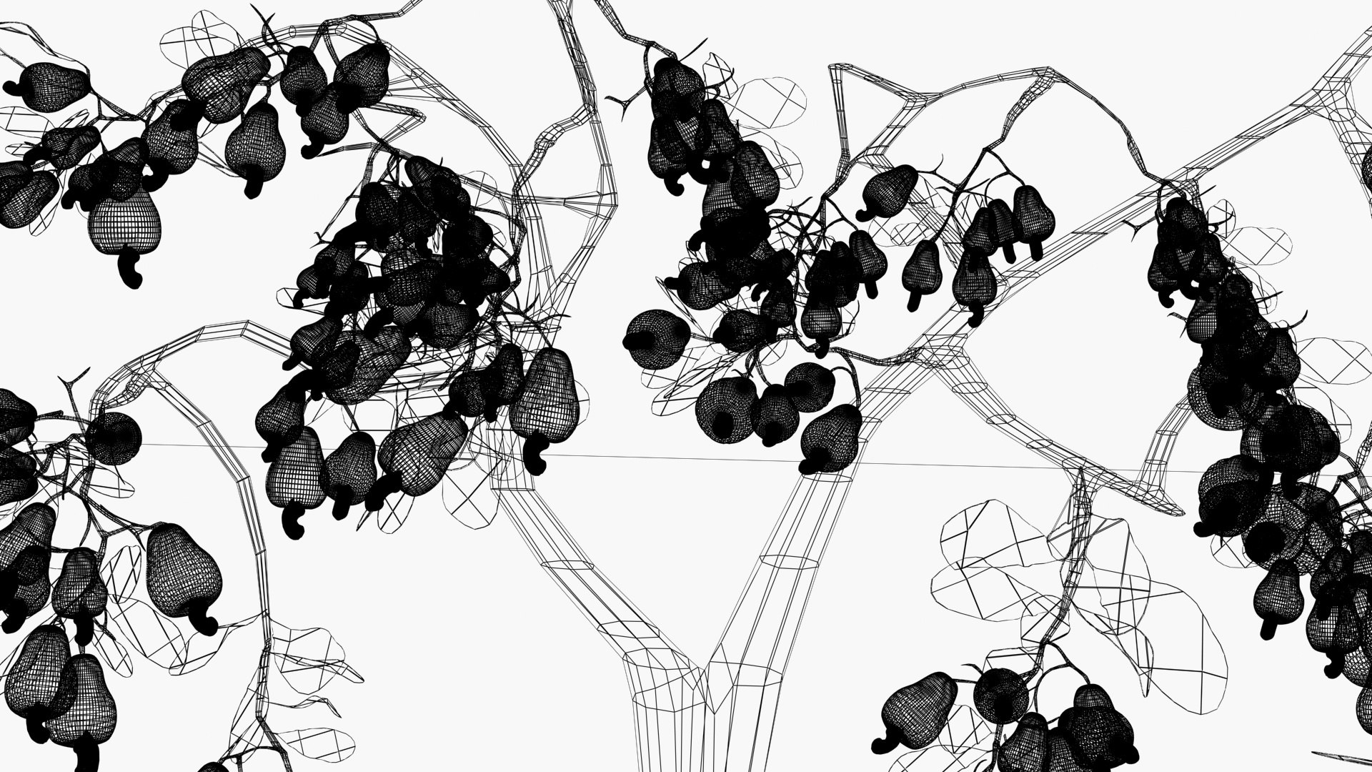 3D Cashewnut tree https://p.turbosquid.com/ts-thumb/W4/mCRQ95/qb/wireframe/jpg/1782568521/1920x1080/fit_q87/47bbe30268c5c1cb4c40496f1115d86752d026ca/wireframe.jpg