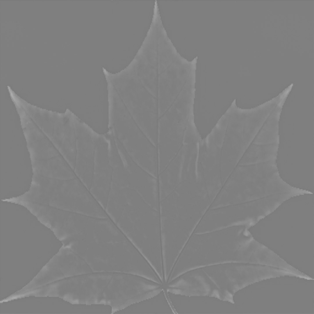 3d autumn leaves drying