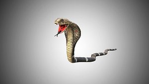 Low Poly Rigged Snake/king cobra