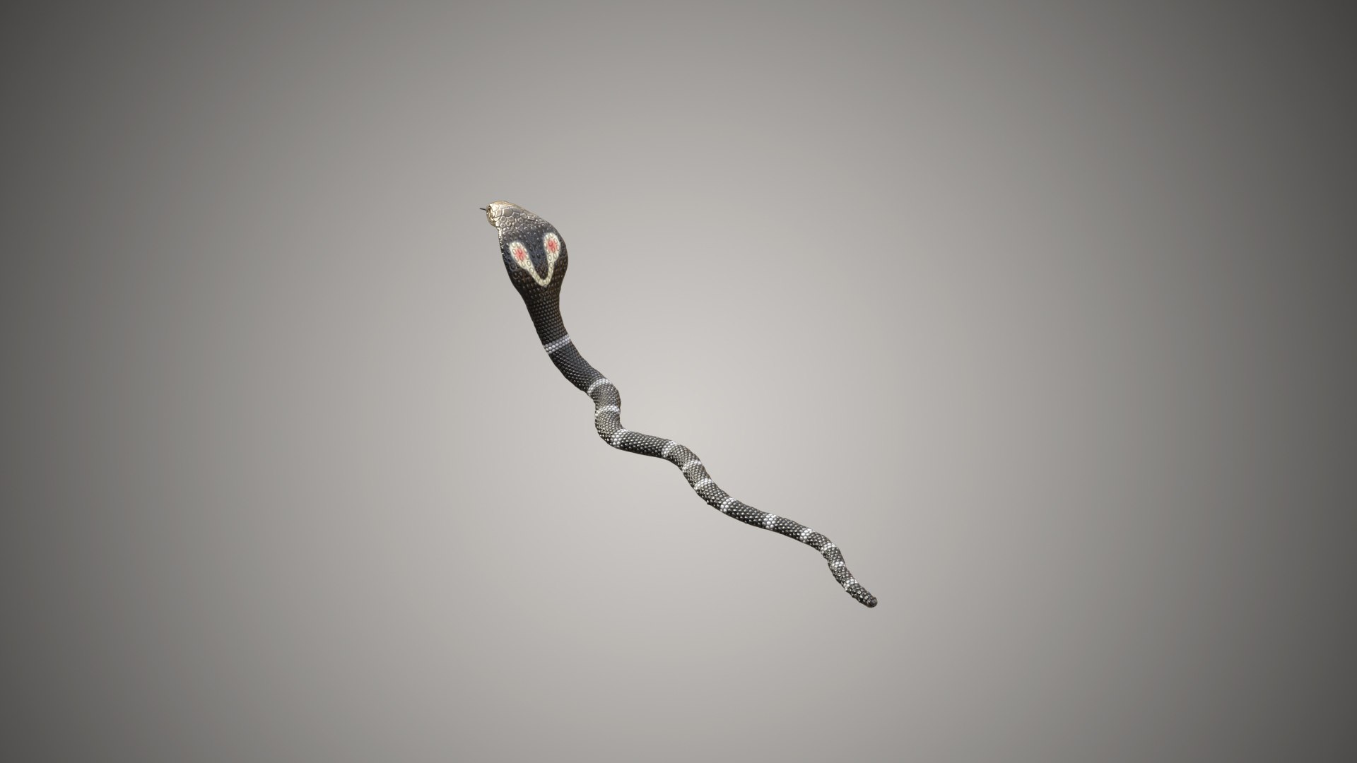 snake king cobra model https://p.turbosquid.com/ts-thumb/W5/28OJRR/RbkrIiQs/04/jpg/1593279655/1920x1080/fit_q87/bc0d3dccce3fbfd8b1f108e4a02e5073a4ab9a31/04.jpg