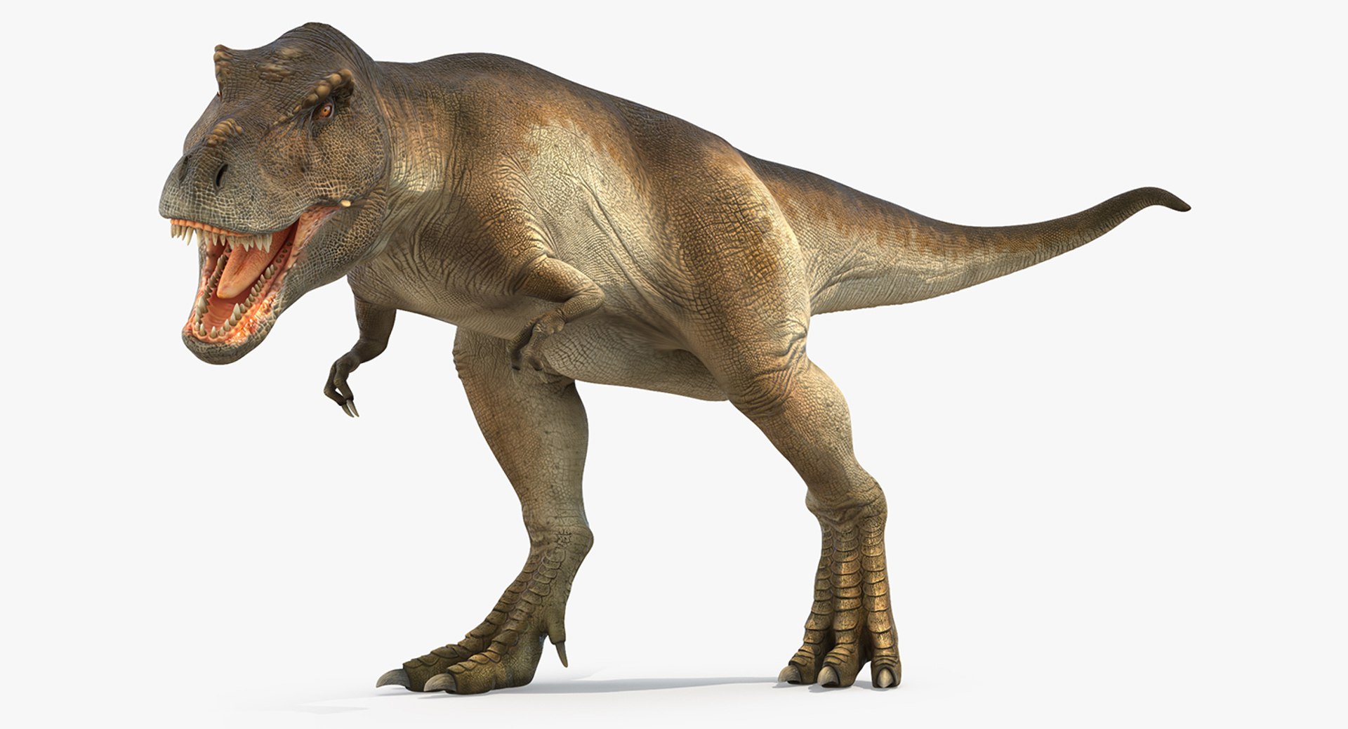 Tyrannosaurus Rex Attacks 3D model preview