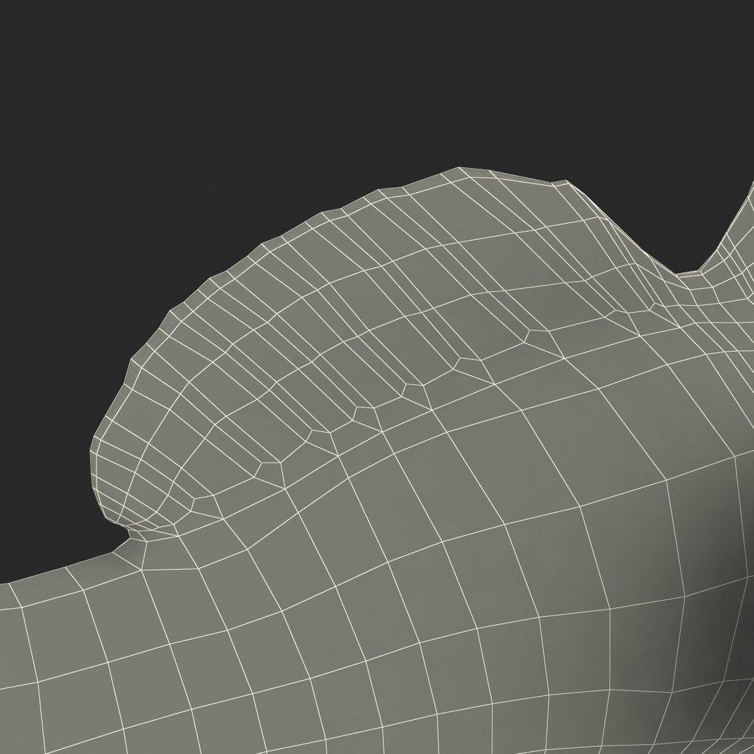 mandarinfish colors 3d max https://p.turbosquid.com/ts-thumb/W5/4IJOCF/7Tcv42ge/mandarinfish3dmodel60/jpg/1470055450/1920x1080/fit_q87/6046118e6241ab1aa6b25922f2c8f5b7c6773f2e/mandarinfish3dmodel60.jpg
