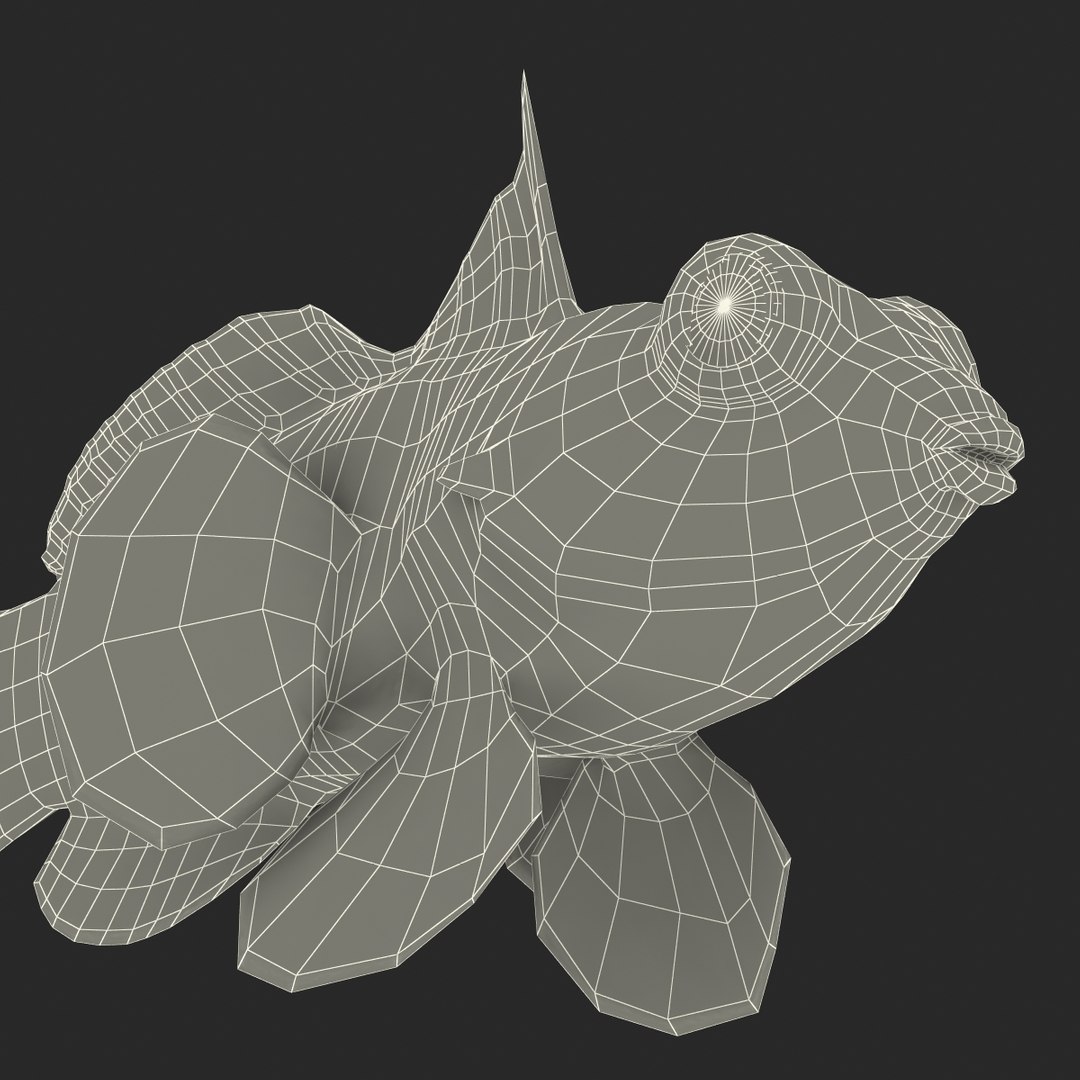mandarinfish colors 3d max https://p.turbosquid.com/ts-thumb/W5/4IJOCF/8X6y5pNC/mandarinfish3dmodel51/jpg/1470055450/1920x1080/fit_q87/262f6c4cf115b67b86160ce88501ba7f0660f04a/mandarinfish3dmodel51.jpg