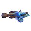 Mandarinfish
