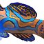 Mandarinfish
