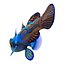Mandarinfish