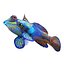 Mandarinfish