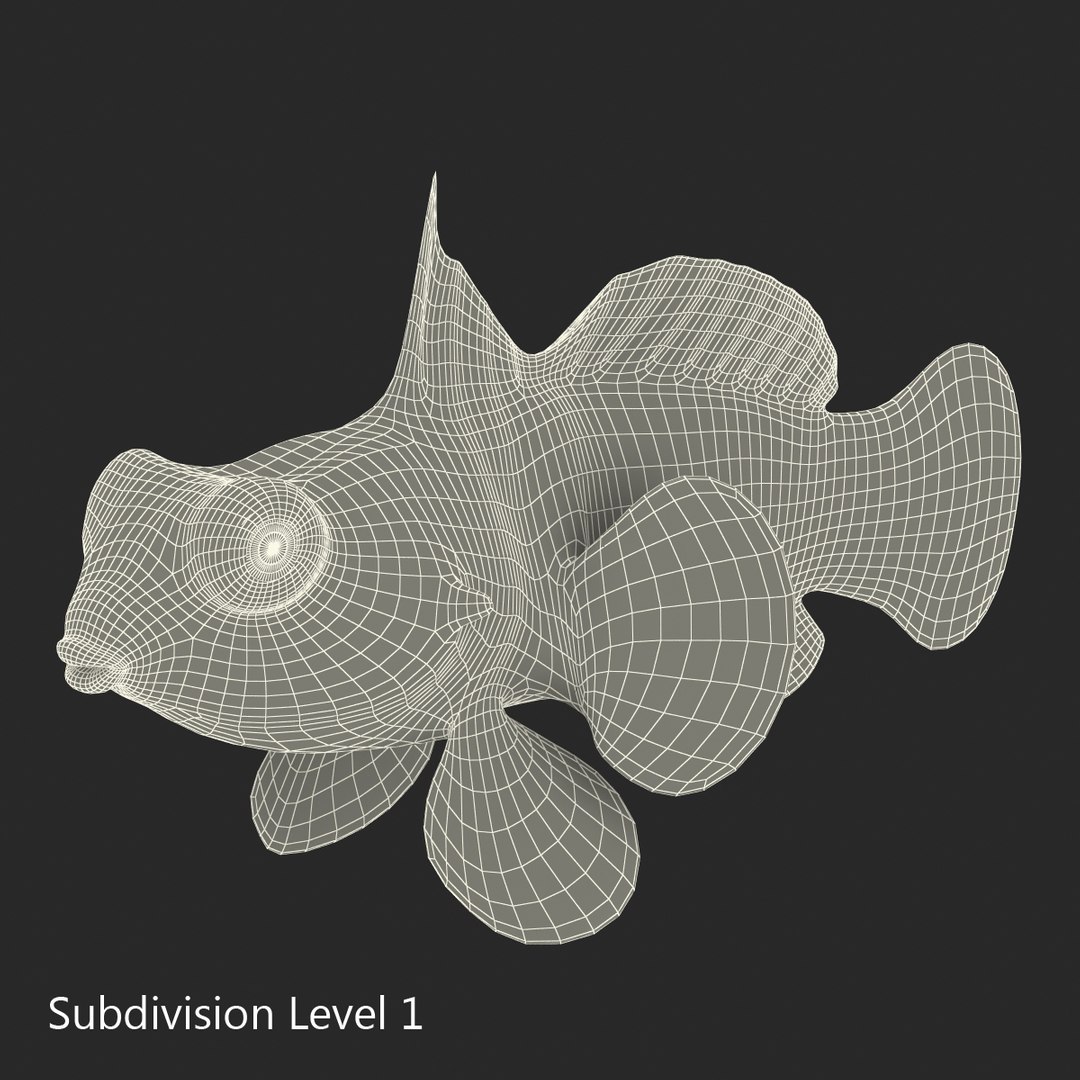 mandarinfish colors 3d max https://p.turbosquid.com/ts-thumb/W5/4IJOCF/NNVY9lF8/mandarinfish3dmodel38/jpg/1470055449/1920x1080/fit_q87/0be442d6e15672c59431970617e7ca97d93c9acf/mandarinfish3dmodel38.jpg