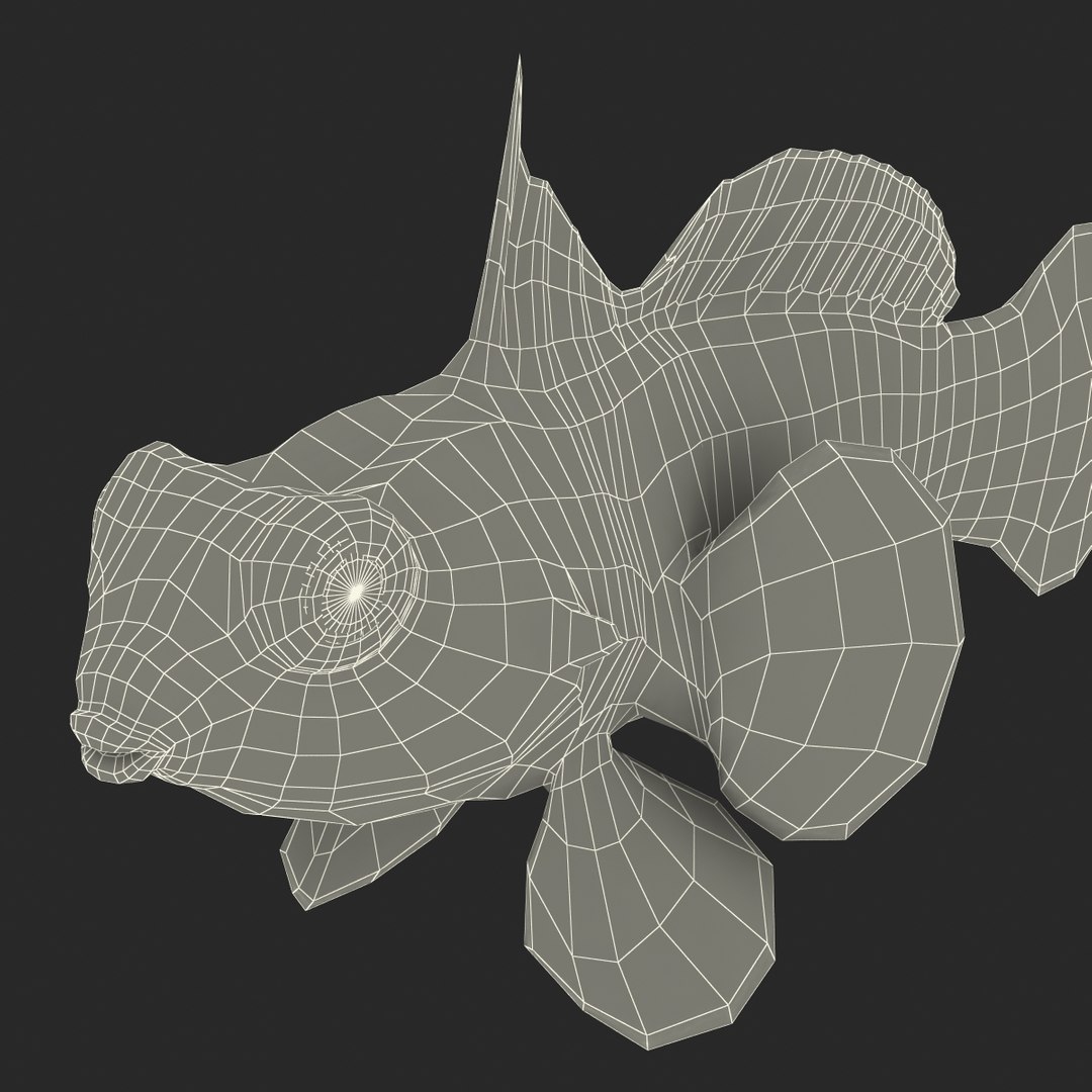 mandarinfish colors 3d max https://p.turbosquid.com/ts-thumb/W5/4IJOCF/Ovlad4MI/mandarinfish3dmodel50/jpg/1470055450/1920x1080/fit_q87/d86bb551199f99762a806ef0cb570a69f8183353/mandarinfish3dmodel50.jpg