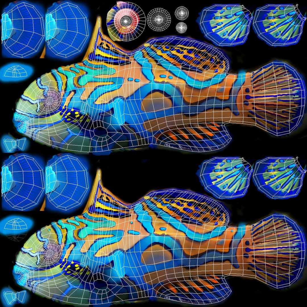 mandarinfish colors 3d max https://p.turbosquid.com/ts-thumb/W5/4IJOCF/UMWLtQ1T/mandarinfish3dmodel39/jpg/1470055449/1920x1080/fit_q87/0c2309d1c66c3e973b8498a6b8fbec68cf9ce582/mandarinfish3dmodel39.jpg