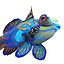 Mandarinfish