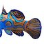 Mandarinfish