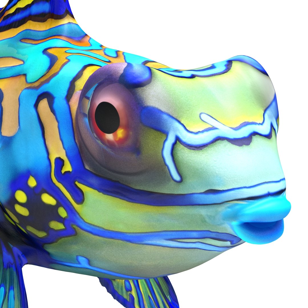 mandarinfish colors 3d max https://p.turbosquid.com/ts-thumb/W5/4IJOCF/fNtDVcm8/mandarinfish3dmodel29/jpg/1470055449/1920x1080/fit_q87/a29d611adfa196dd544c9170dc4dd47e7284fac5/mandarinfish3dmodel29.jpg