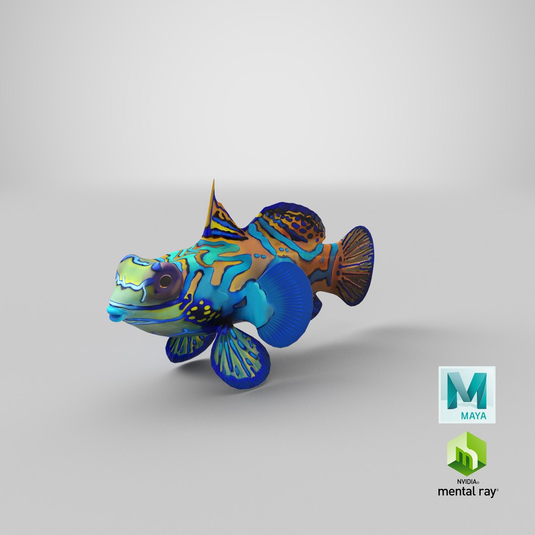 mandarinfish colors 3d max https://p.turbosquid.com/ts-thumb/W5/4IJOCF/hV/stemcell_maya_mental_ray_render/png/1656487604/1920x1080/fit_q87/b0e6e7cfe9bd8b8b15c71b71823c7aa765ba7a72/stemcell_maya_mental_ray_render.jpg