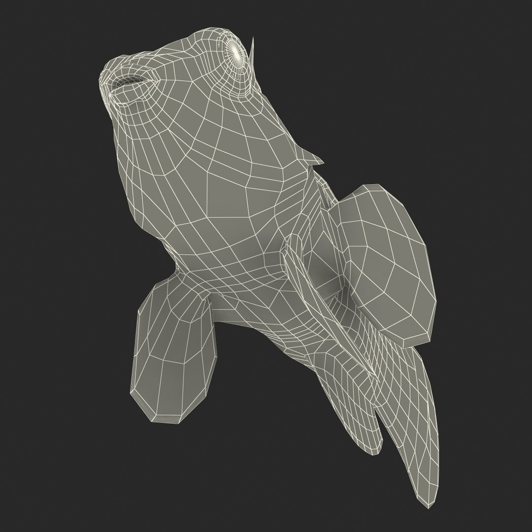 mandarinfish colors 3d max https://p.turbosquid.com/ts-thumb/W5/4IJOCF/kD0qjL5O/mandarinfish3dmodel48/jpg/1470055450/1920x1080/fit_q87/64241cbd1226ed8e0eff2c7bced88047268fb0f3/mandarinfish3dmodel48.jpg