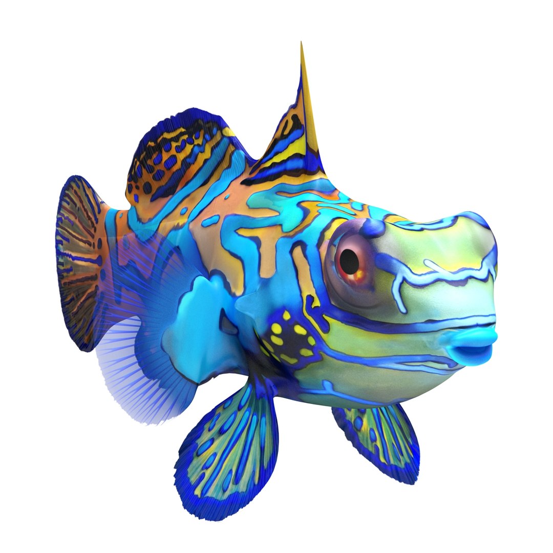 mandarinfish colors 3d max https://p.turbosquid.com/ts-thumb/W5/4IJOCF/qHyVT7Fs/mandarinfish3dmodel06/jpg/1470055447/1920x1080/fit_q87/378175c0d10925806235dae121f5727d028adba2/mandarinfish3dmodel06.jpg